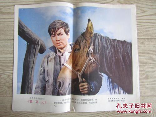 犹他州驾照作假
